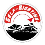 Joysway Mad Flow V3 F1 Catamaran Brushless & Li-Po RTR - Image 3