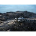 DJI Neo 2 Fly More Combo - Image 8